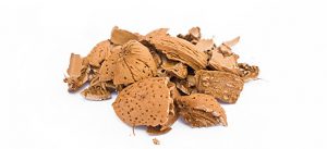 cascara